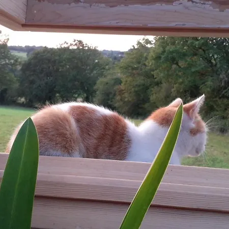 Le Doux Refuge Berceen Au Calme De Sa Campagne Pres Circuit Mans Sud, Grand Lit Avec Berceau Et Possibilite Lit Pliant En Rajout Gasthof *