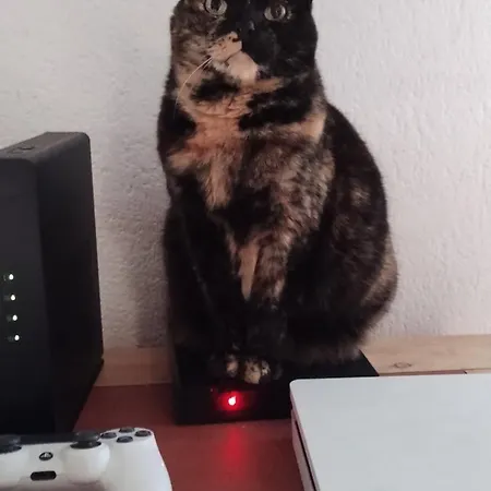 Le Doux Refuge Berceen Au Calme De Sa Campagne Pres Circuit Mans Sud, Grand Lit Avec Berceau Et Possibilite Lit Pliant En Rajout Penzion *