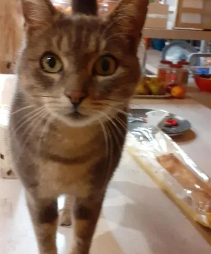 Le Doux Refuge Berceen Au Calme De Sa Campagne Pres Circuit Mans Sud, Grand Lit Avec Berceau Et Possibilite Lit Pliant En Rajout, Relais Motard