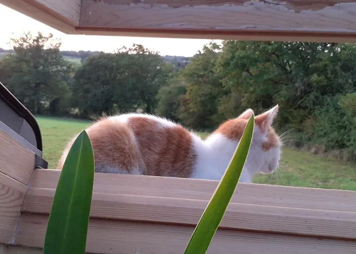 Le Doux Refuge Berceen Au Calme De Sa Campagne Pres Circuit Mans Sud, Grand Lit Avec Berceau Et Possibilite Lit Pliant En Rajout Gasthof *