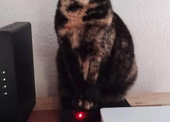 Le Doux Refuge Berceen Au Calme De Sa Campagne Pres Circuit Mans Sud, Grand Lit Avec Berceau Et Possibilite Lit Pliant En Rajout, Relais Motard 招待所 *